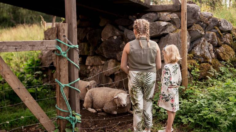 Tytöt katsomassa lampaita voipaalan pihamaalla