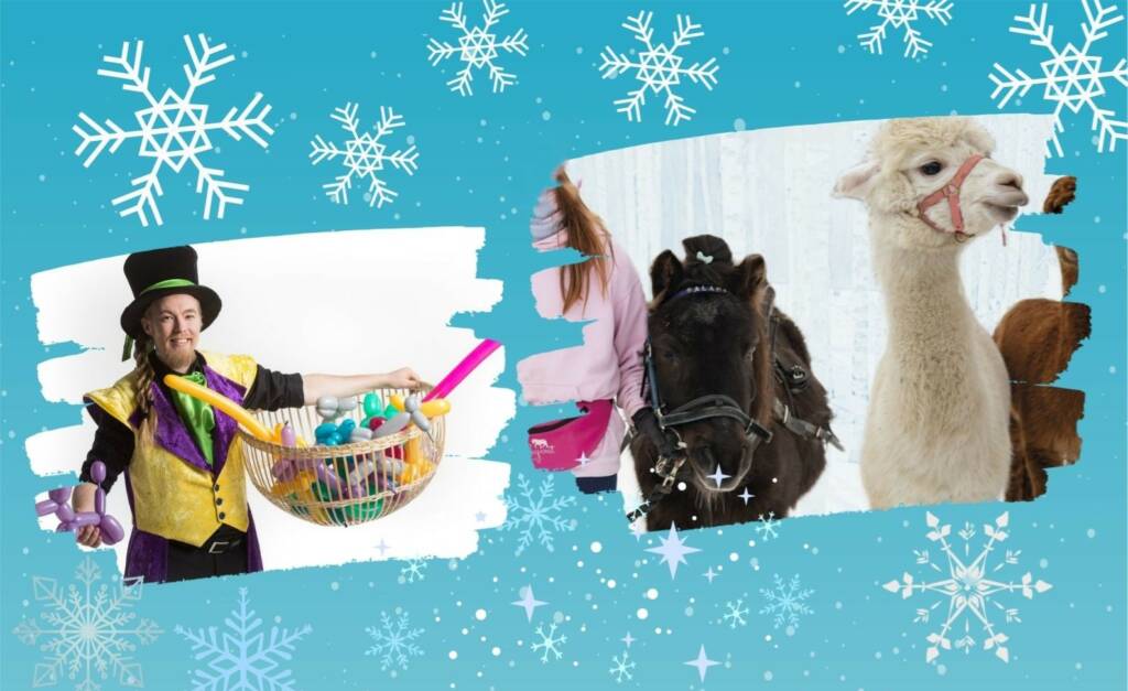 Kuvassa taikuri, poni ja alpakka.